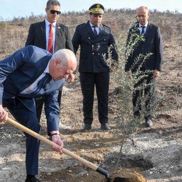 حمام الانف: في عيد الشجرة، الرئيس يغرس شجرة زيتون في جبل بوقرنين أين نشبت الحرائق في الصيف الماضي (فيديو و صور)