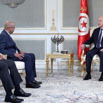 الرئيس يتحدث عن التجارب الدستورية و الانتخابية في تونس و افريقيا لملاحظين ممثلين عن الاتحاد الإفريقي (فيديو)