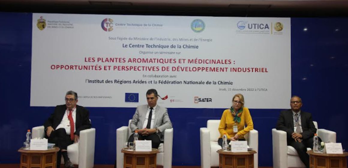 النباتات العطرية والطبية في تونس: ثروة طبيعية وآفاق تنموية وصناعية واعدة