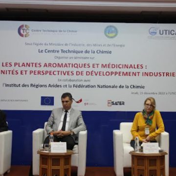 النباتات العطرية والطبية في تونس: ثروة طبيعية وآفاق تنموية وصناعية واعدة