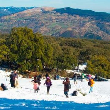 ولاية جندوبة: انتعاشة السياحة الداخلية تزامنا مع نزول كميات هامة من الثلوج