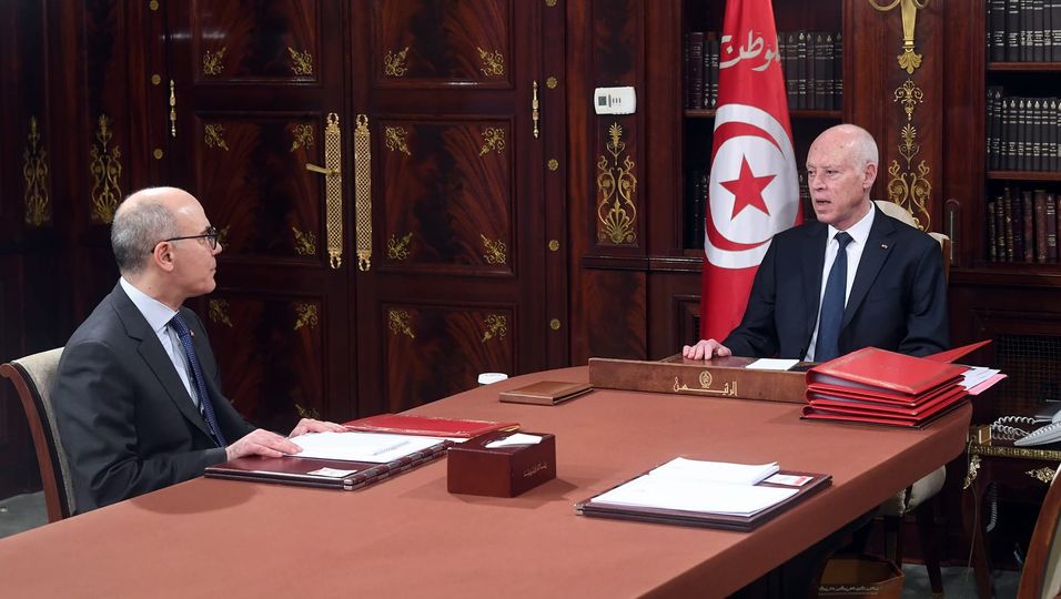 في لقاء الرئيس بنبيل عمار: سد الشغور في تمثيليات تونس بالخارج، العلاقات مع سوريا، تواصل المظلمة في فلسطين…