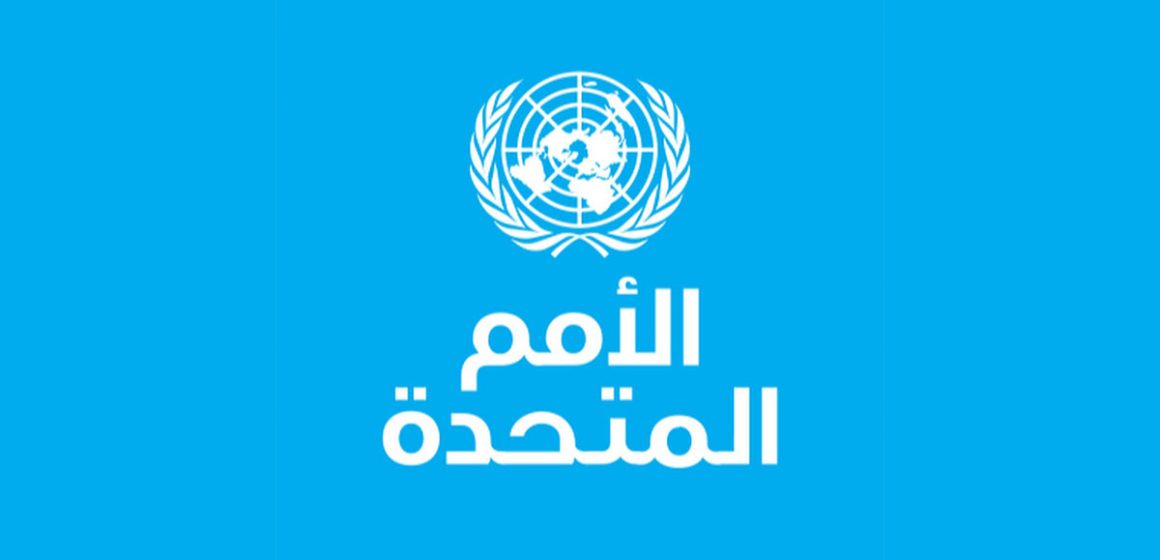 الأمم المتحدة تعبر عن قلقها من اعتقال المعارضين السياسيين ونشطاء المجتمع المدني في تونس (فيديو)
