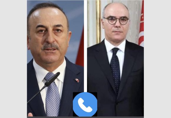 تقرير رسمي: وزير الشؤون الخارجية نبيل عمار في مكالمة هاتفية مع نظيره التركي حول العلاقة بين البلدين