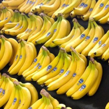 شركة أسواق الجملة تصدر بلاغا حول تراخيص بيع الموز