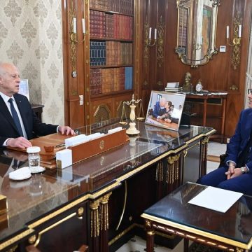 قرطاج: الرئيس في لقائه بنبيل عمار العائد من باريس يجدد رفض التدخل في شؤون تونس الداخلية