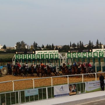 منوبة: تونس تحتضن سباقات كأس رئيس دولة الامارات للخيول العربية بقصر السعيد (صور)