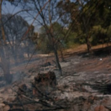 أريانة: السيطرة على الحريق الذي نشب بمنطقة سيدي صالح بمعتمدية سكرة
