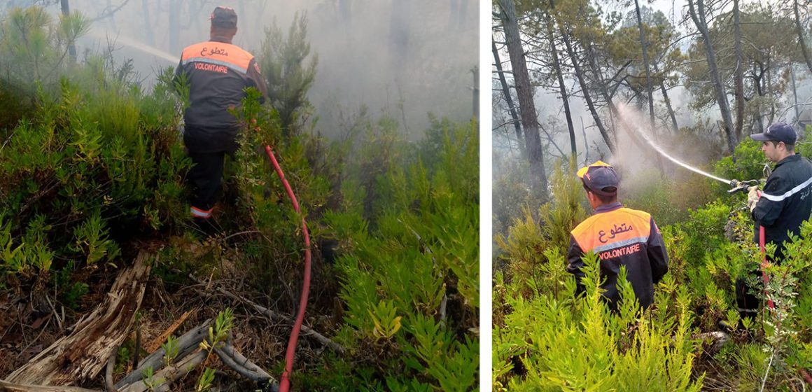 متابعة الحريق بملولة طبرقة، متطوعون يلتحقون بأعوان الحماية المدنية لإخماد النيران (صور)