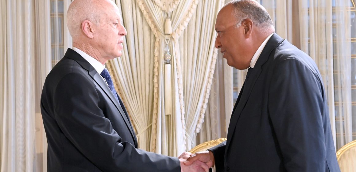 قرطاج: الرئيس سعيد يلتقي بوزير خارجية مصر سامح شكري