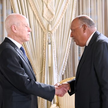 قرطاج: الرئيس سعيد يلتقي بوزير خارجية مصر سامح شكري