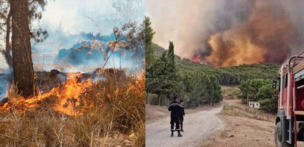 أريانة: بعد السيطرة على حريق اندلع فجر اليوم بجبل النحلي برياض الأندلس، اشتعال النيران مجددا