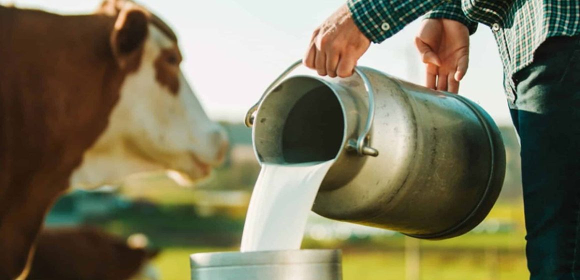 البصمة المائية لإنتاج حليب الأبقار في تونس