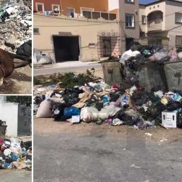الوطن القبلي: سكان منزل تميم يشتكون من انتشار أكداس النفايات المنزلية و انبعاث الروائح الكريهة و تكاثر الحشرات…