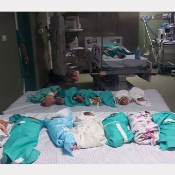 مجمع الشفاء الطبي بغزّة: جثامين 100 شهيد تتحلل و34 وفاة من الخدج ومرضى العناية المركزة