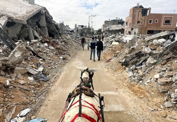 شهادة من جحيم غزة : وحشٌ يترصدنا حتى في أحلامنا
