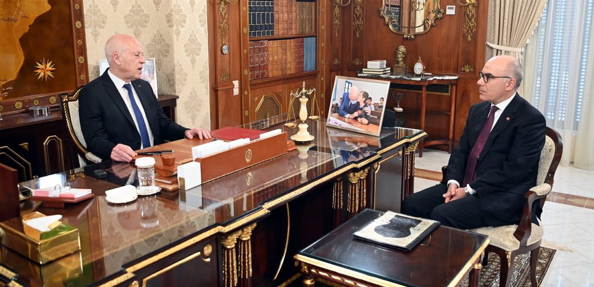 في لقاء الرئيس بنبيل عمار: الهجرة غير النظامية، بيانات المنظمات الأجنبية، الدور الدبلوماسي..