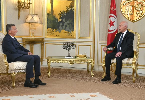قرطاج: الرئيس يتحادث مع سفير ألمانيا بمناسبة انتهاء مهامه بتونس