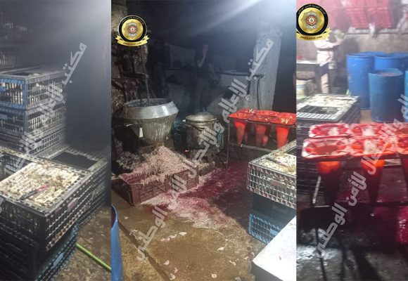 أريانة: حجز مئات من الدجاج المذبوح و الحي في مذبح عشوائي بالغزالة