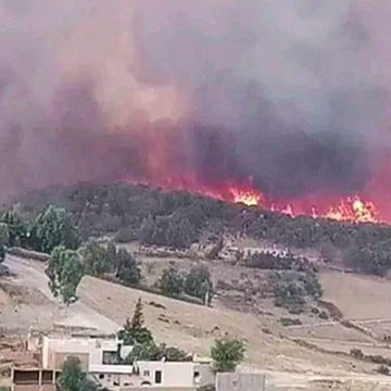 بنزرت : السيطرة بنسبة هامة على حريق حنويبل الشوشة بسجنان