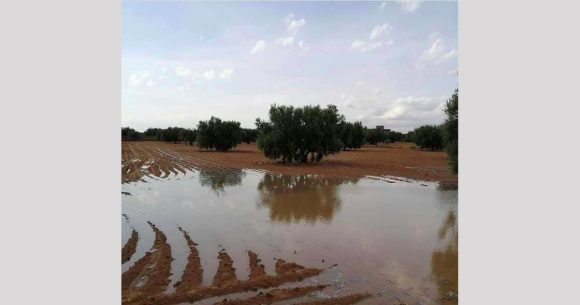 الطقس: أمطار بولاية المهدية و السحب الممطرة تقترب من بنزرت والسواحل (فيديو)