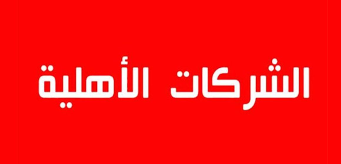 مجالس إدارة الشركات الأهلية: دعوة الى ضرورة ترفيع في سقف التمويل