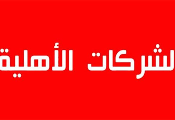 مجالس إدارة الشركات الأهلية: دعوة الى ضرورة ترفيع في سقف التمويل