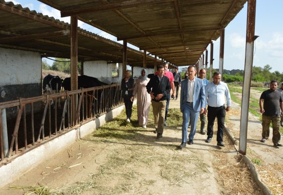 سوسة: وزير الفلاحة يؤدي زيارة فجئية الى المركب الفلاحي بالنفيضة