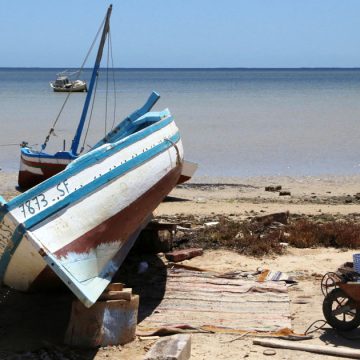 قرقنة : ثروة بحرية مهددة بالزوال بسبب الفساد و اللامبالاة