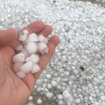 الرقاب: أمطار غزيرة وتساقط التبروري جنوبا و شرقا (فيديو)