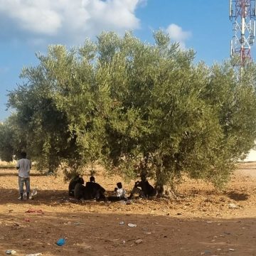 الهجرة من جنوب الصحراء إلى تونس بين المغامرة والأمل