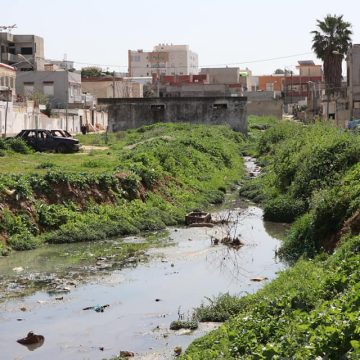 وضع بيئي متردي بأريانة، زيارة ميدانية يؤديها الوزير عبيد لمعاينة الوضع (صور)