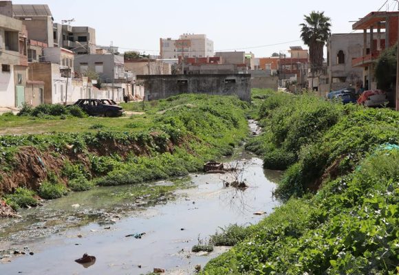 وضع بيئي متردي بأريانة، زيارة ميدانية يؤديها الوزير عبيد لمعاينة الوضع (صور)