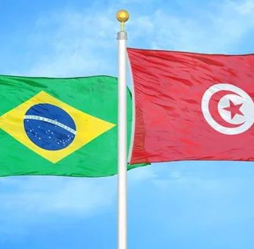 مركز النهوض بالصادرات: تونس خامس أكبر مزود للبرازيل من زيت الزيتون