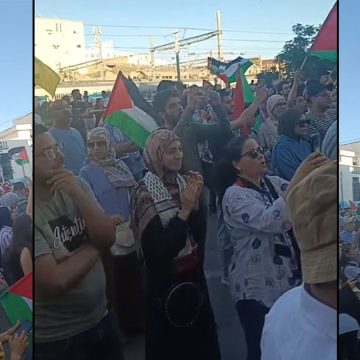 تضامنا مع أهالي غزة، مسيرة شعبية حاشدة بتونس العاصمة (فيديو)