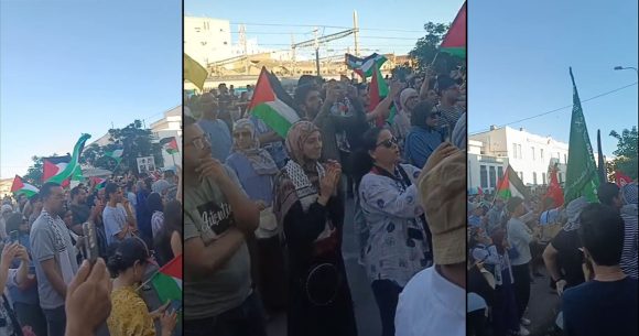 تضامنا مع أهالي غزة، مسيرة شعبية حاشدة بتونس العاصمة (فيديو)