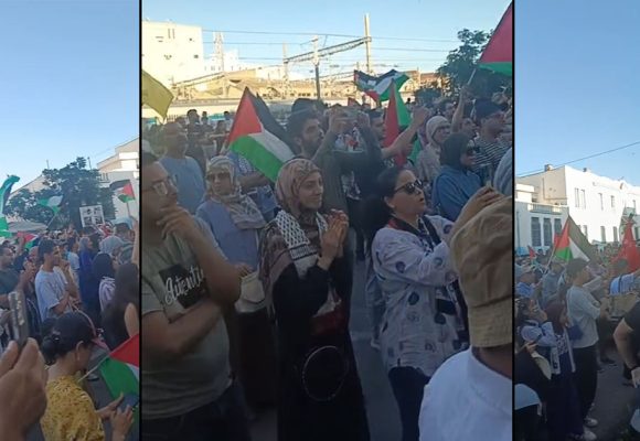 تضامنا مع أهالي غزة، مسيرة شعبية حاشدة بتونس العاصمة (فيديو)