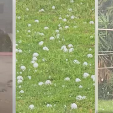 الكاف: أمطار قوية مصحوبة بحجر البرد و تسجيل أضرار زراعية كبرى