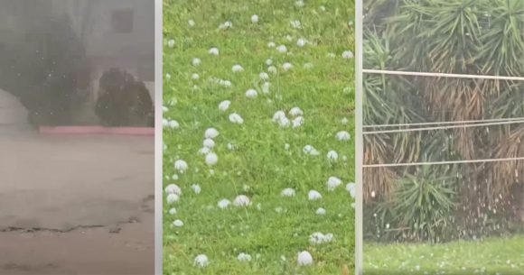 الكاف: أمطار قوية مصحوبة بحجر البرد و تسجيل أضرار زراعية كبرى