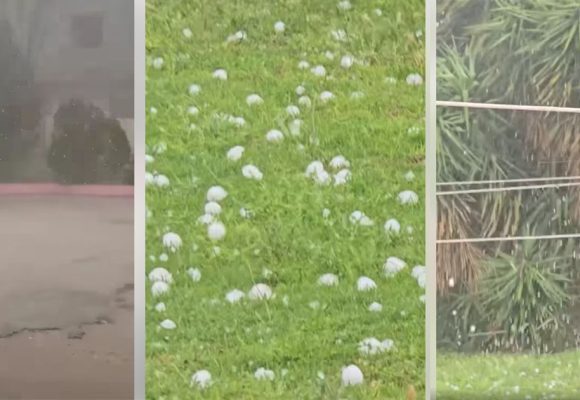 الكاف: أمطار قوية مصحوبة بحجر البرد و تسجيل أضرار زراعية كبرى