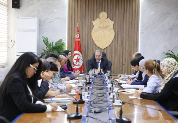 زيارة وفد صيني لتونس بخصوص الملعب الأولمبي بالمنزه