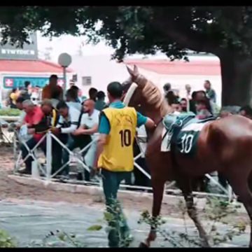 مركض قصر السعيد يحتضن الدورة 68 لكأس تونس للخيول (تفاصيل+ فيديو)