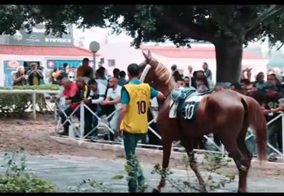 مركض قصر السعيد يحتضن الدورة 68 لكأس تونس للخيول (تفاصيل+ فيديو)