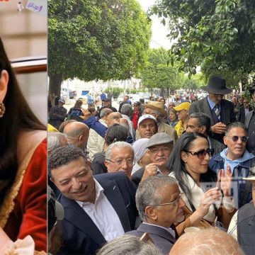 مرصد الحرية لتونس يعلق على تأخير قضية رفعتها الإيزي ضد عبير موسي (صور و فيديو)
