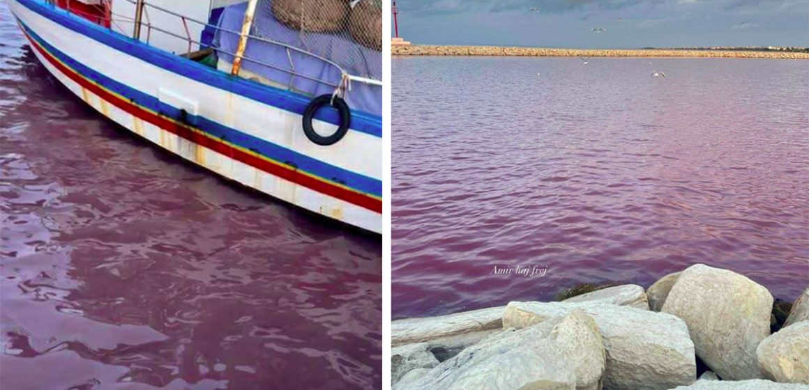 أمور بيئية: عامر بحبة يعلق على تغير لون المياه بخليج المنستير (فيديو)