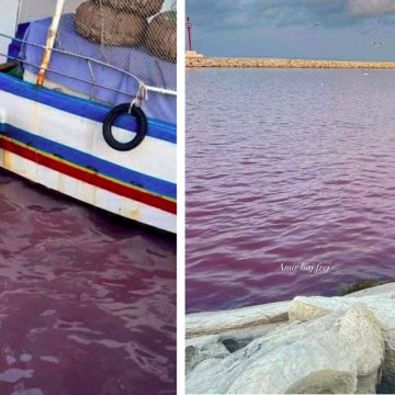 أمور بيئية: عامر بحبة يعلق على تغير لون المياه بخليج المنستير (فيديو)