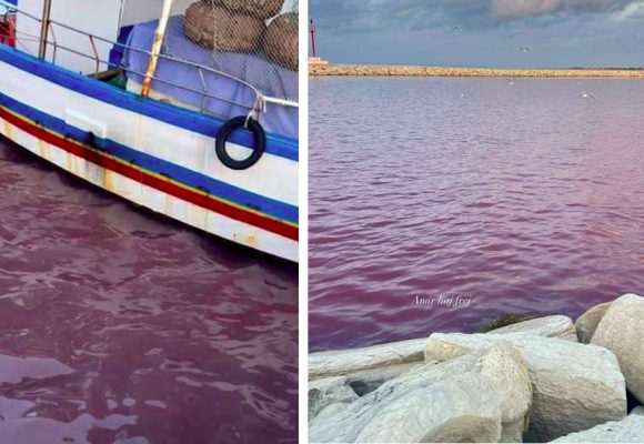 أمور بيئية: عامر بحبة يعلق على تغير لون المياه بخليج المنستير (فيديو)