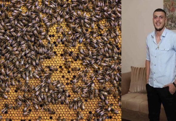 سوسة: وفاة عشريني إثر تعرضه لهجوم خلايا من النحل
