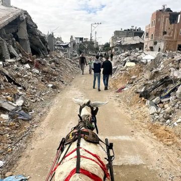 رويترز: قادة الاتحاد الأوروبي يدعون إلى وقف فوري لإطلاق النار في غزة