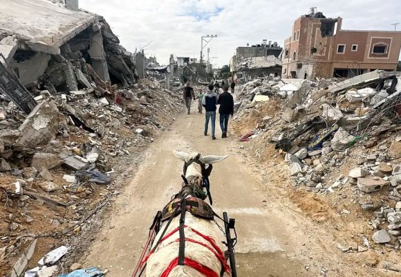 رويترز: قادة الاتحاد الأوروبي يدعون إلى وقف فوري لإطلاق النار في غزة